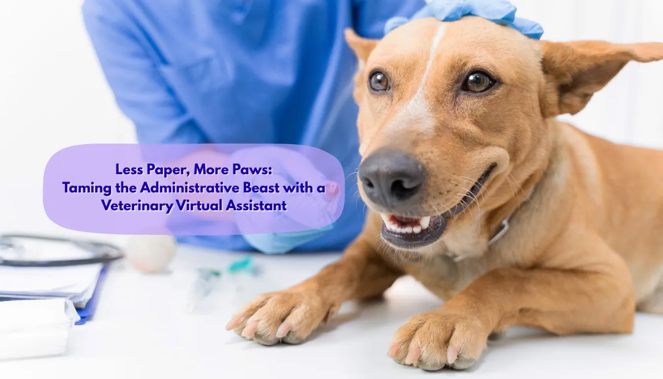 Less Paper, More Paws Taming the Administrative Beast with a Veterinary Virtual Assistant